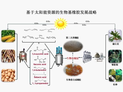 &ldquo;十三五&rdquo;國家重點(diǎn)研發(fā)計(jì)劃項(xiàng)目&ldquo;新型生物基橡膠材料制備技術(shù)與應(yīng)用示范&rdquo;順利通過項(xiàng)目綜合績效評(píng)價(jià)