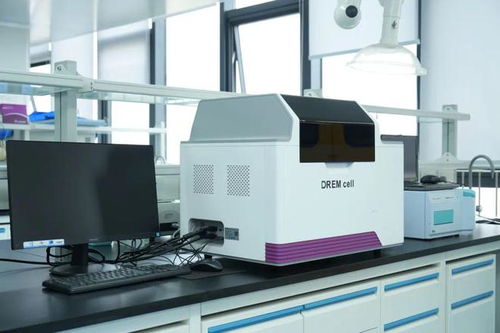 蓉耀未來 掌握合成生物 密碼 ,成都企業(yè)打造 細胞工廠 ,沖刺10億元產(chǎn)值目標(biāo)