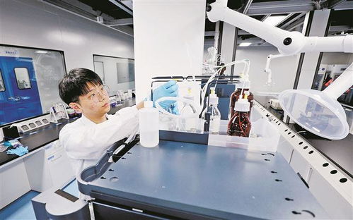 廈門布局建設(shè)首批聯(lián)合實驗室 重點推動新興產(chǎn)業(yè)和未來產(chǎn)業(yè)領(lǐng)域布局建設(shè)