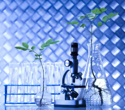 三農日報|政策:鼓勵資本助推生態(tài)循環(huán)農業(yè);農村新電商模式正成為趨勢