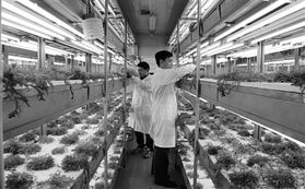 經(jīng)濟(jì)日報(bào)多媒體數(shù)字報(bào)刊