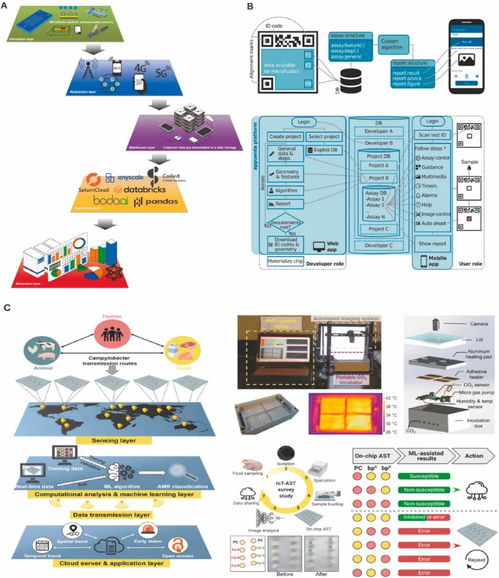 用于微生物病原體即時(shí)檢測的材料功能化微流控系統(tǒng)研究進(jìn)展