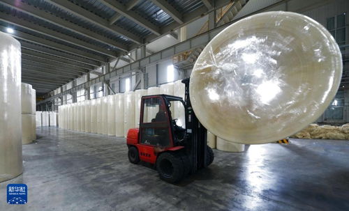 黑龍江大慶打造生物基新材料產(chǎn)業(yè)基地