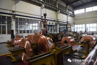 又有兩大重點研發平臺落戶新區,這是要爆發的節奏啊