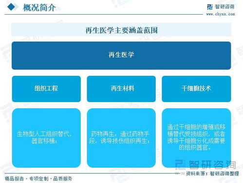 再生醫(yī)學(xué)行業(yè)前景如何 先進(jìn)醫(yī)療技術(shù)需求增長,全球市場(chǎng)規(guī)模加速擴(kuò)容