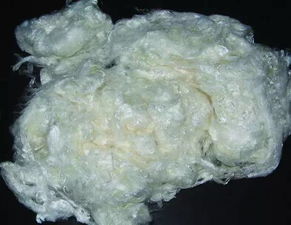 一文看懂國內生物基纖維產業發展現狀