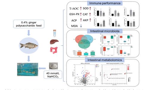 中國水產(chǎn)科學(xué)研究院在鹽堿水域養(yǎng)殖與生物基材料技術(shù)研發(fā)領(lǐng)域取得新進(jìn)展
